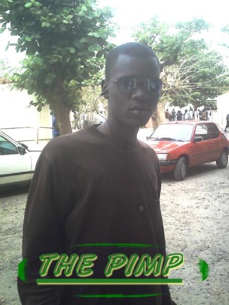 the p.i.m.p